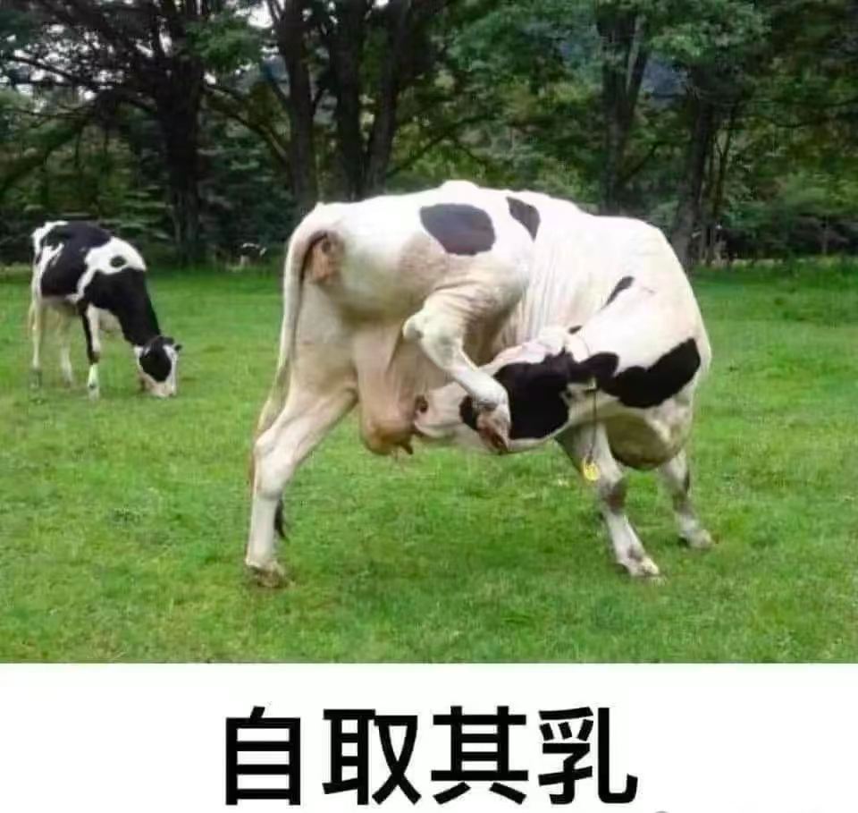 文案火锅22。