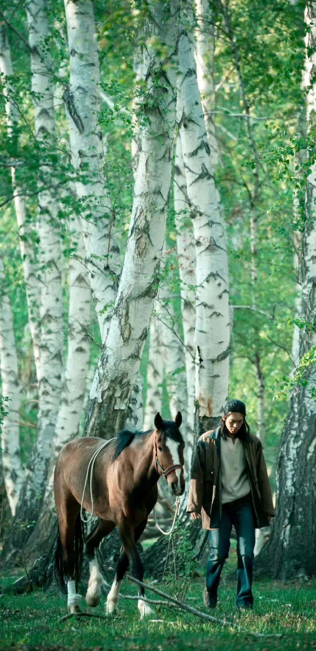 《我的阿勒泰》这些 “松弛感文案”,温暖又治愈