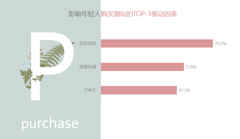 Z世代爱潮玩！（下）