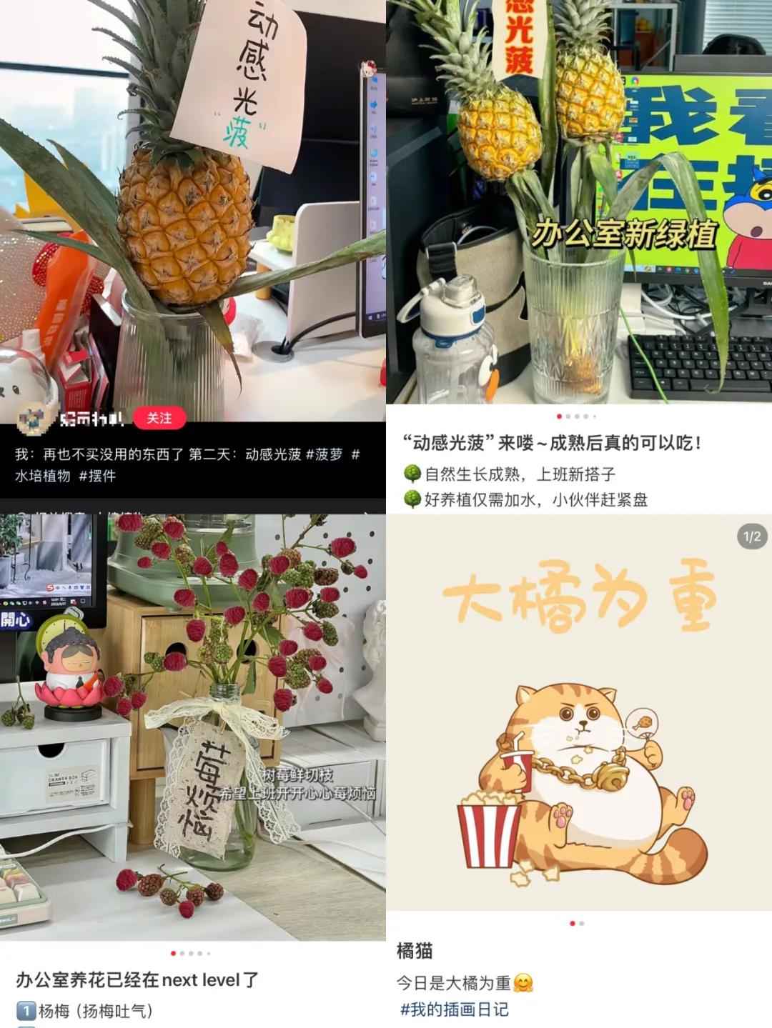 一串普通香蕉,为何爆红网络?