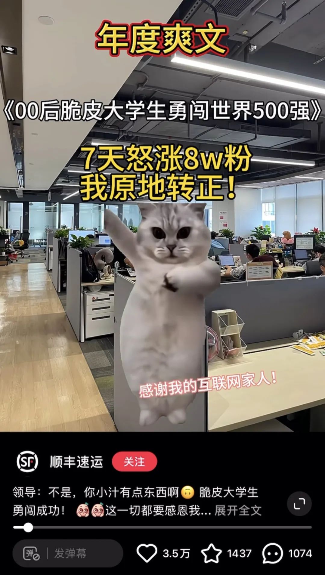 00后官号运营，正在用猫meme勇闯职场