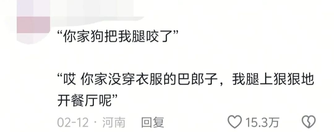 馕言文，成流量密码！