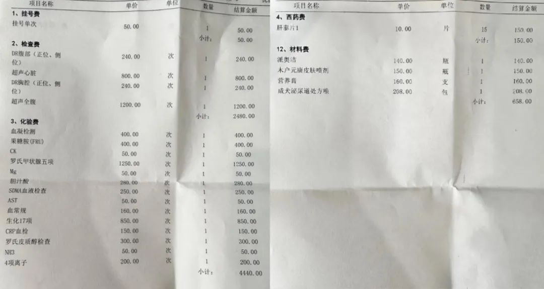 被宠物险收割,铲屎官又上了一课