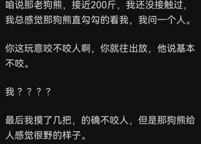 那个全网圈粉440万的“流浪汉”,成了这届网友心中的“东北游侠”