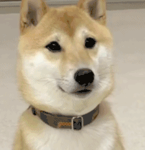 640 (2).gif