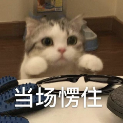 华为发布会最大亮点：华仔代言华子