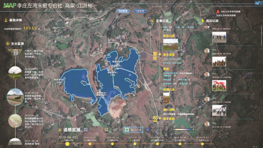 新时代下的五粮液：传统匠心和现代科技的&ldquo;平衡术&rdquo;