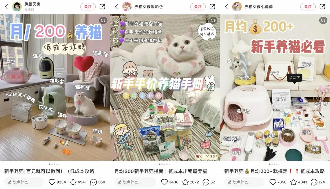 6年做到品类第一!高热宠物用品赛道来看pidan怎么做小红书投放布局?