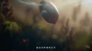 白酒营销元年，这条电影级TVC绝了！