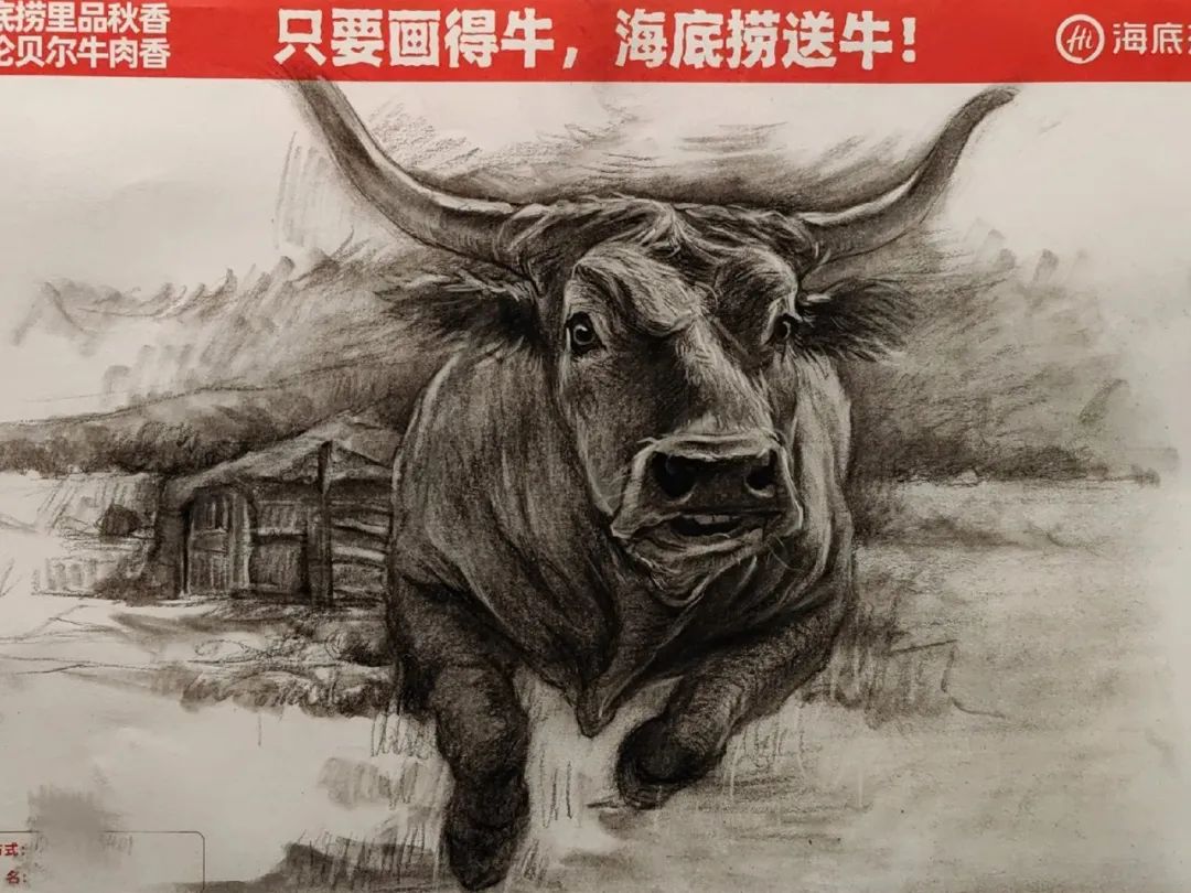 画牛得牛,海底捞真牛!