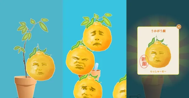 《猫咪后院》出续作啦!还记得这些可爱的哈基米吗?