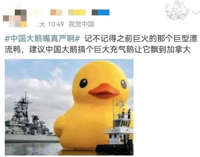 “中国大鹅”火了!双11最强带货王,竟然是网友?