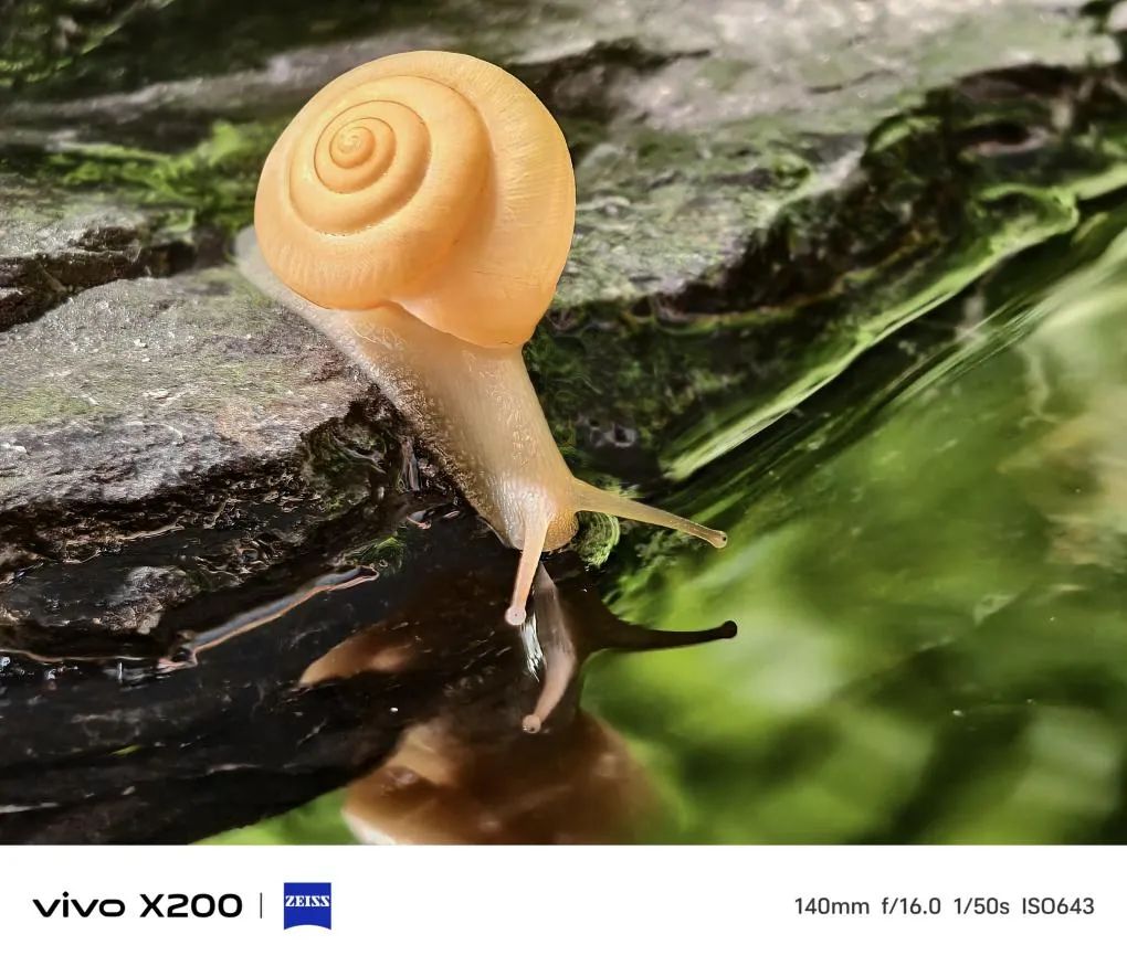 vivo X200登场,iPhone16迎来最强旗舰劲敌