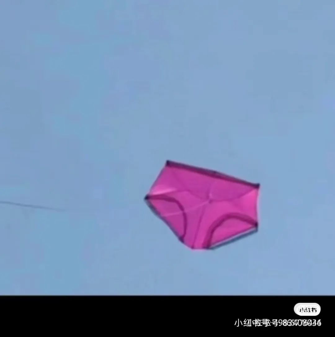 除了秦始皇变形计，雪王和天猫也被潍坊放了风筝