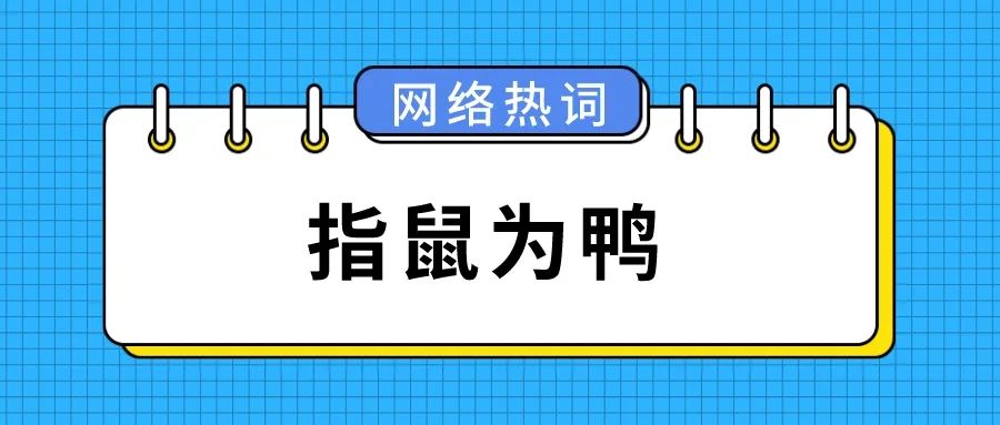 盘点2023上半年网络热词，8G冲浪达人都整不会了......