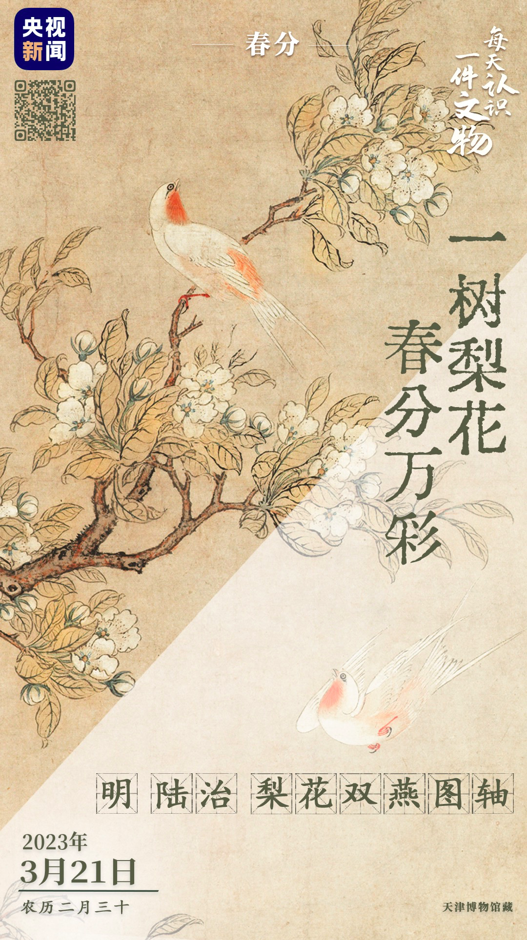 央视的神仙文案,上新了!