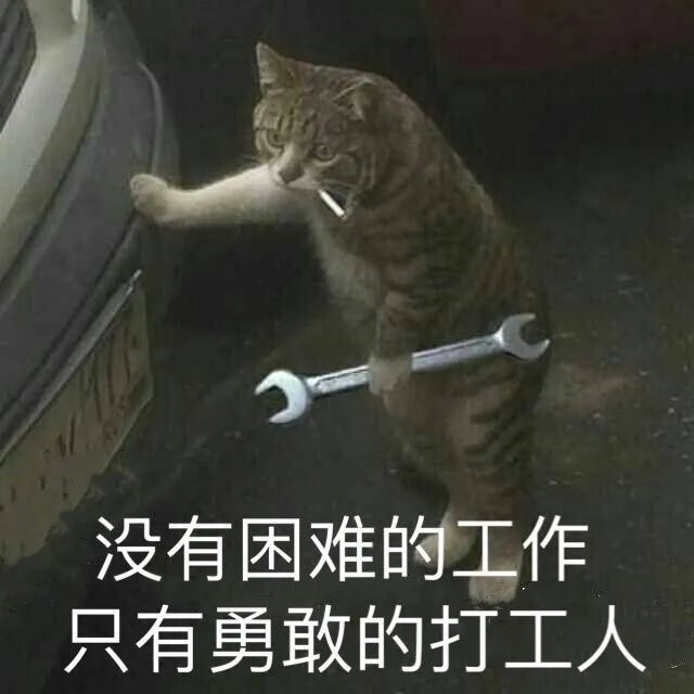 641.jpg 641.jpg
