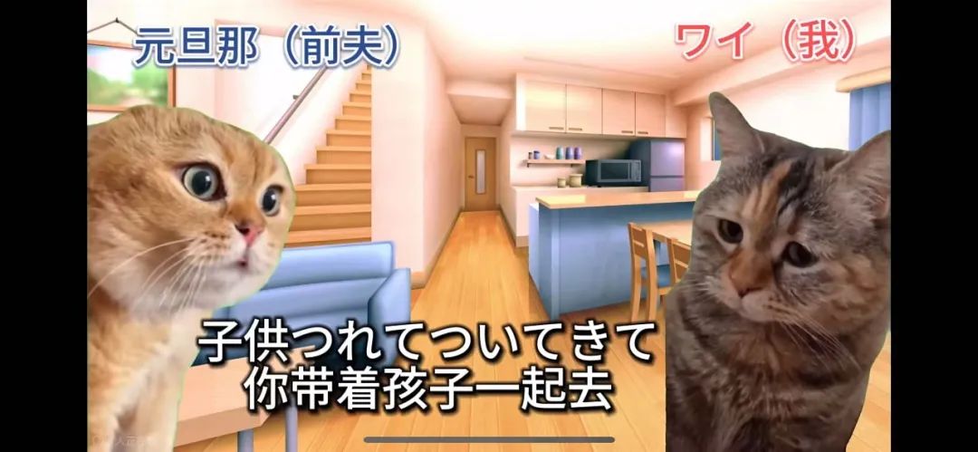霸榜三平台，猫meme&ldquo;踩中&rdquo;三大爆款要素