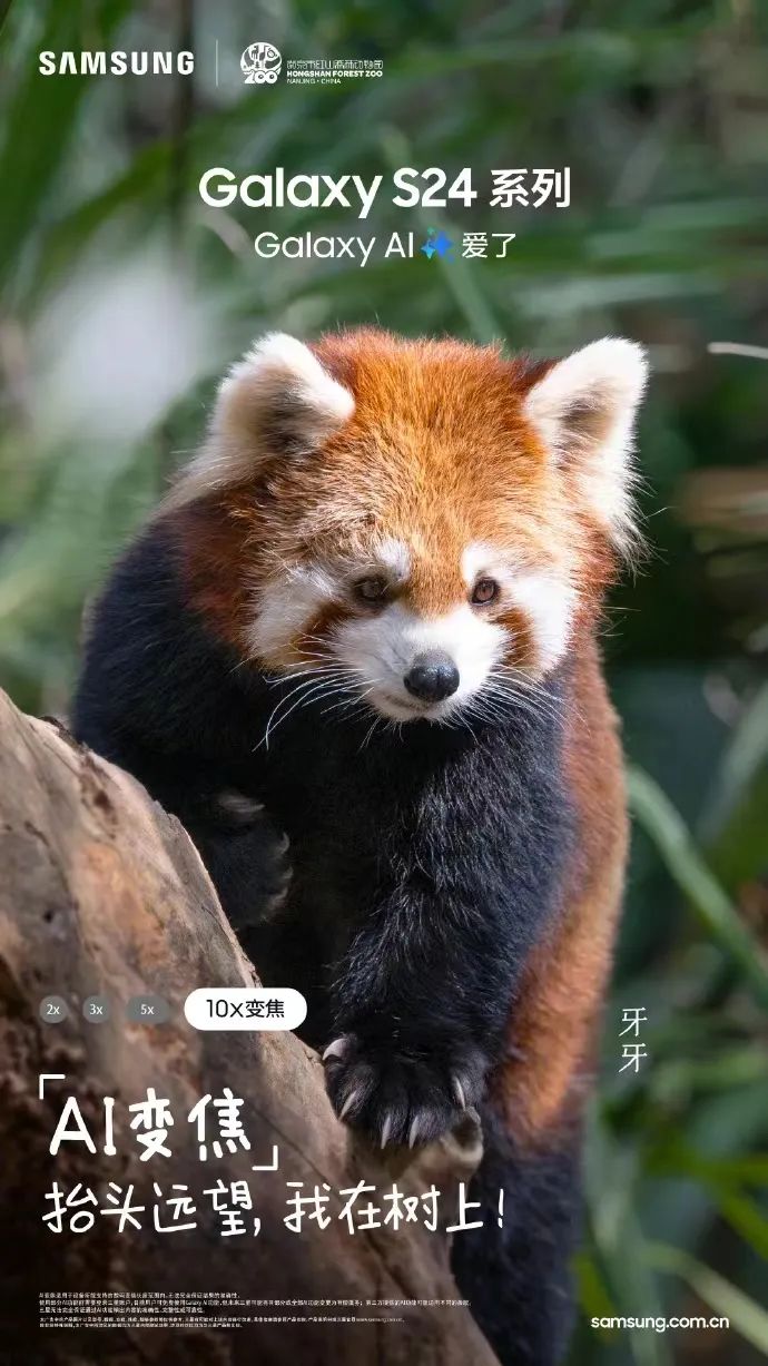 三星认养卡皮巴拉,春日热点还可以这样玩