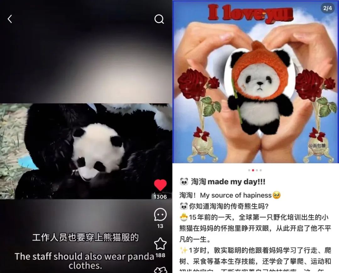 大熊猫保护日,淘宝拍了一支让人爱心爆棚的皮影戏