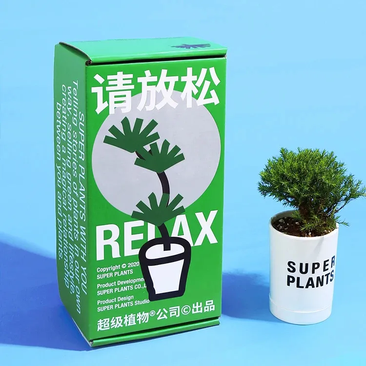 万物皆可Jellycat，情绪疗愈不只有单一解