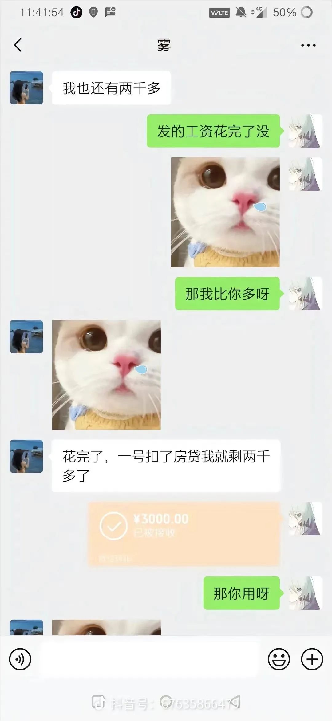 发空包祭胖猫,这些品牌门店有多离谱?