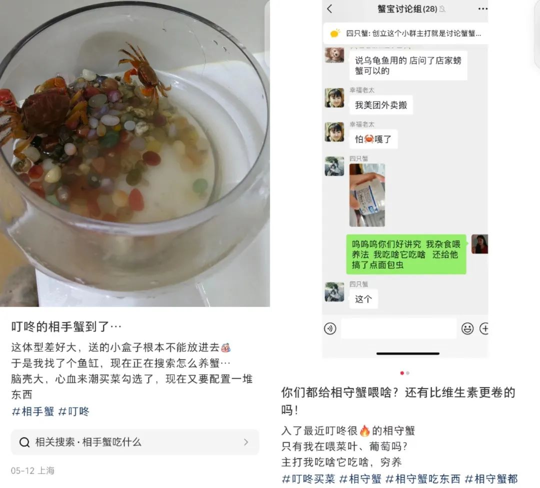 螃蟹当顶流,又是被“颠”咚买菜硬控的一天