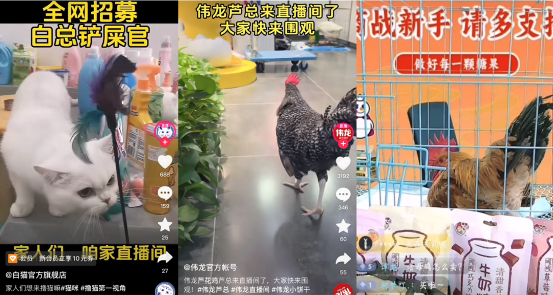 从搞笑到热血，老国货「团建」炸出一堆显眼包