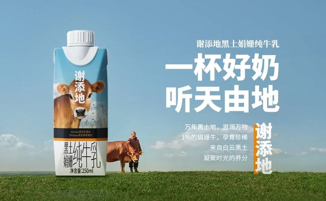 来自黑土地的谢添地,肩负百亿大考任务,能否撑起越秀乳业高端梦