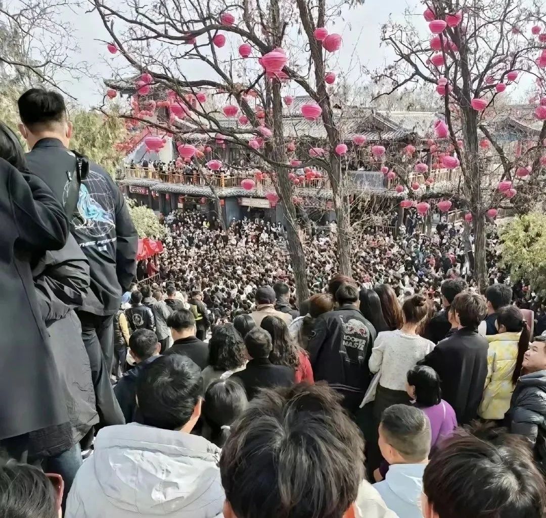 小姨子脱单了,新晋网红“开封王婆”杀疯了!