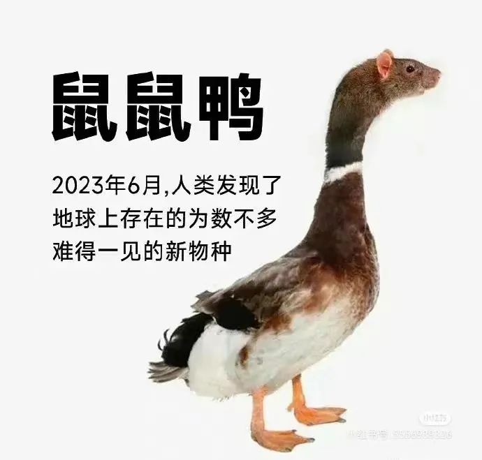 “鼠头”被实锤后,绝味鸭脖更惨了...