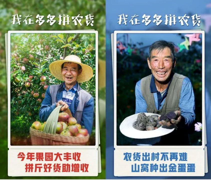 拼多多“秋收”不断档:往上游纵深,向海外输出