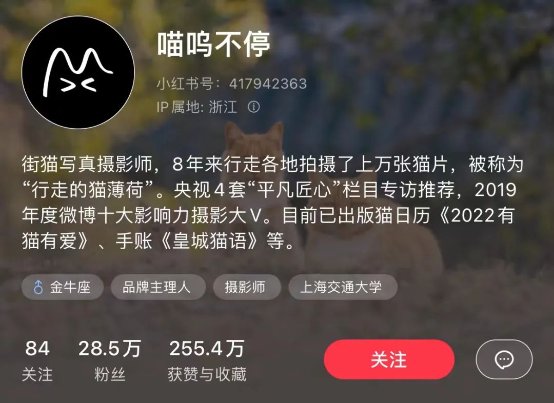 小红书个人博主如何快速涨粉?拆解1年涨粉88万的君君辅食记 小红书个人博主如何快速涨粉?拆解1年涨粉88万的君君辅食记