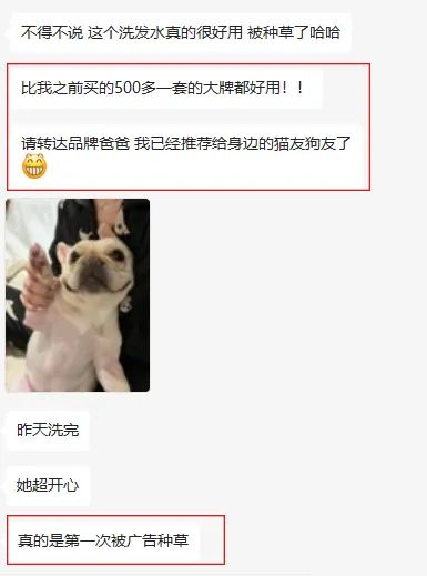 宠物赛道近期小红书种草趋势！怎么做才有转化有传播？