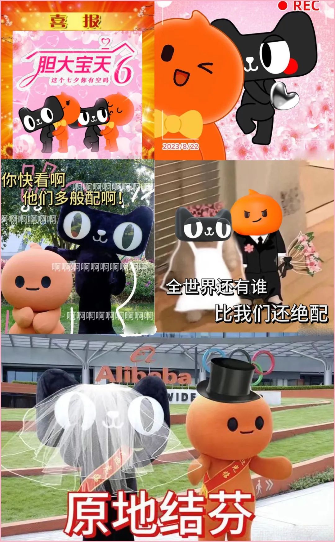 淘宝X天猫「胆大宝天」CP官宣,网友:份子钱记我账上