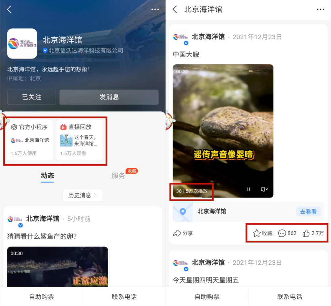 盯上视频+直播,支付宝生活号做得怎么样了?