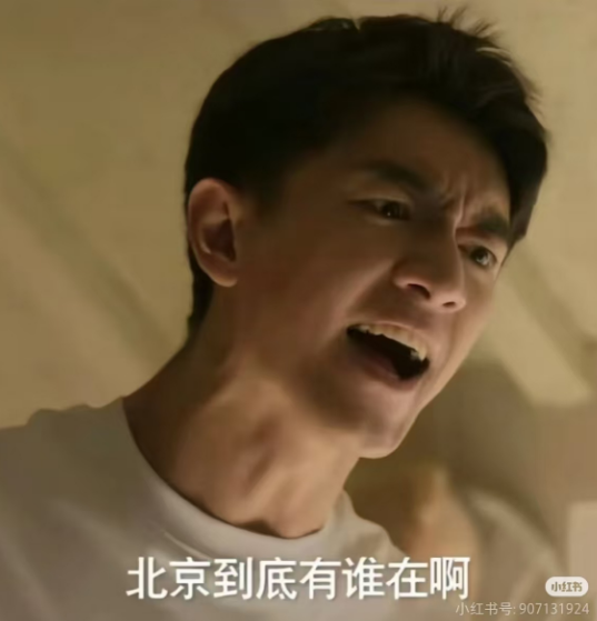 刘亦菲一觉醒来天塌了,全国文旅宣传越来越癫!