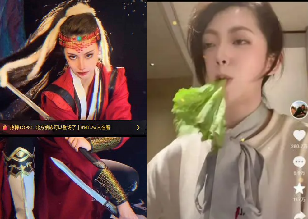 “秦朗丢作业””1条视频赚55万,网红猫一杯自吹YSL圣罗兰设计师,啃菜叶子爆红