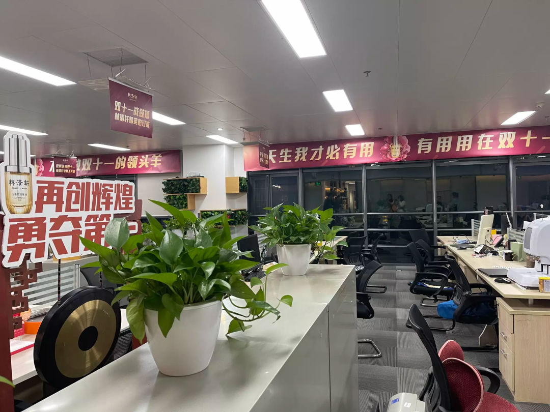 双11品牌观察：国货不全靠大主播，新消费不只做小红书
