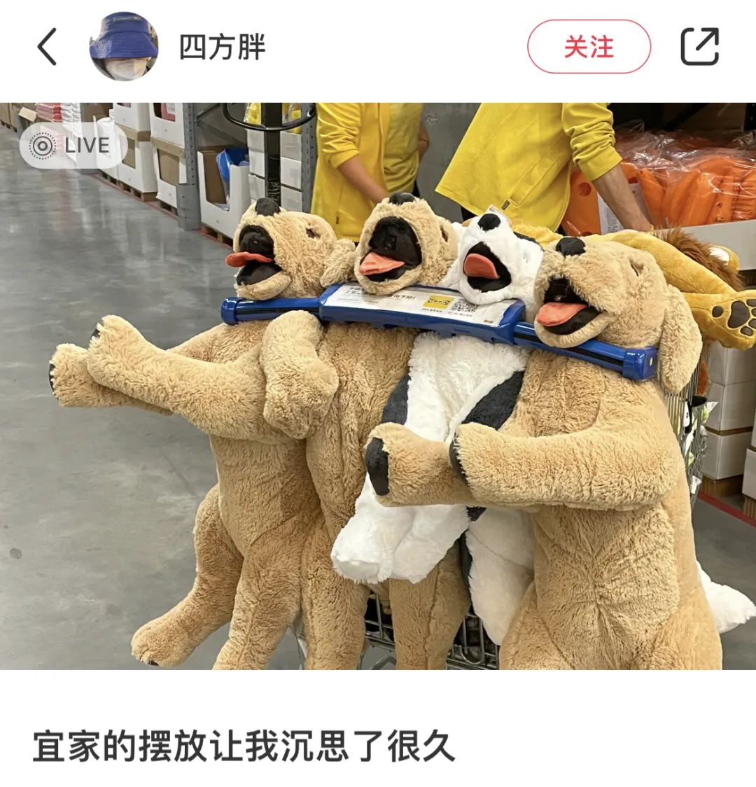 宜家网红“不雅照”曝光,网友蚌埠住了