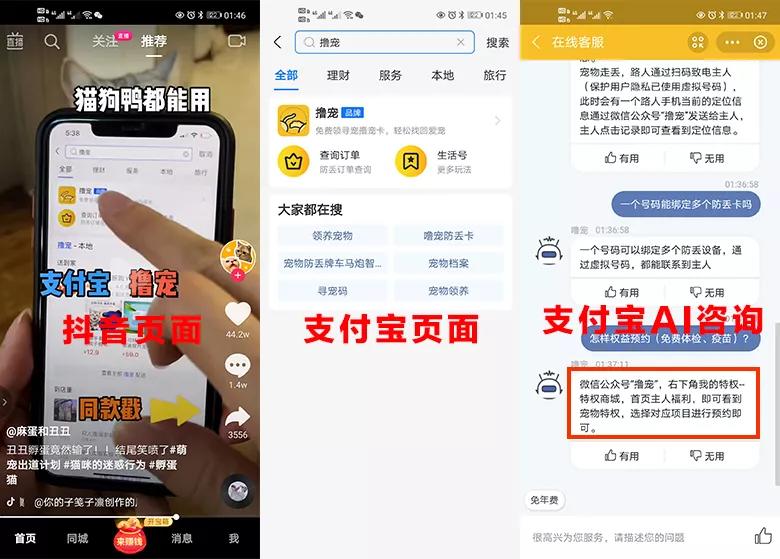 图片 图片