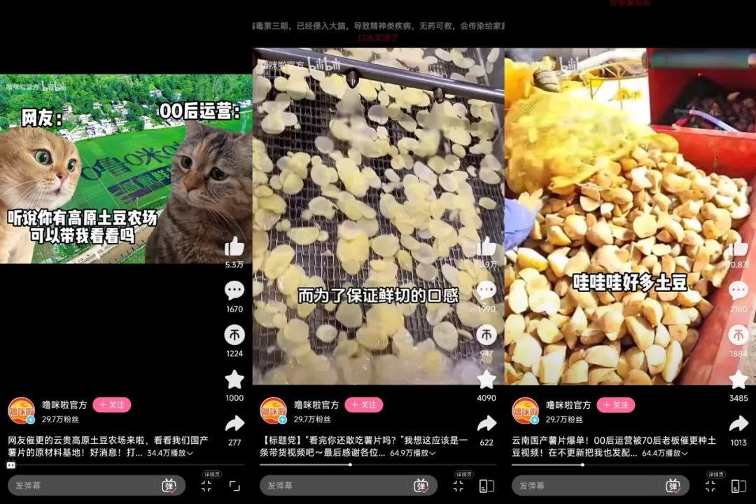 在小红书2天涨粉2万，&ldquo;猫meme&rdquo;成流量密码？