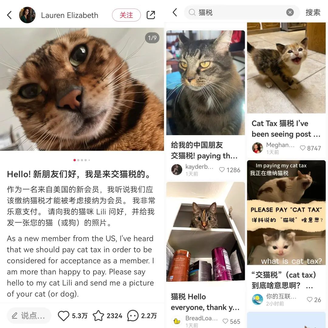 一夜躺赢的小红书,能接住TikTok的美国流量吗?