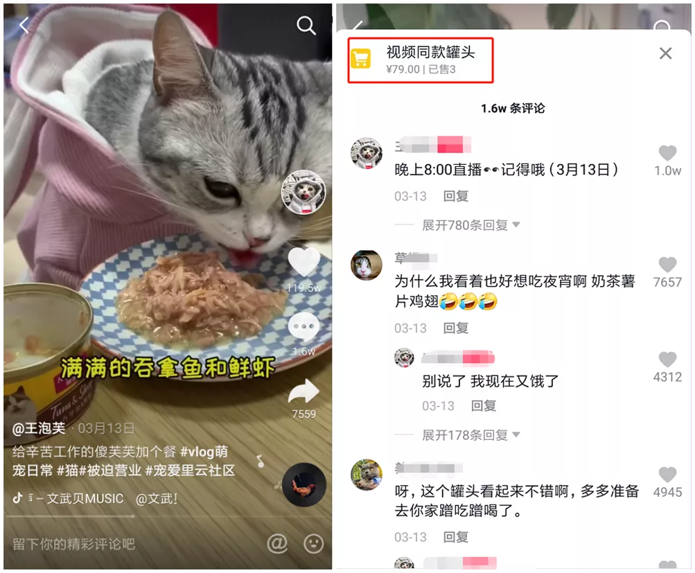 宠物广告01_副本.png