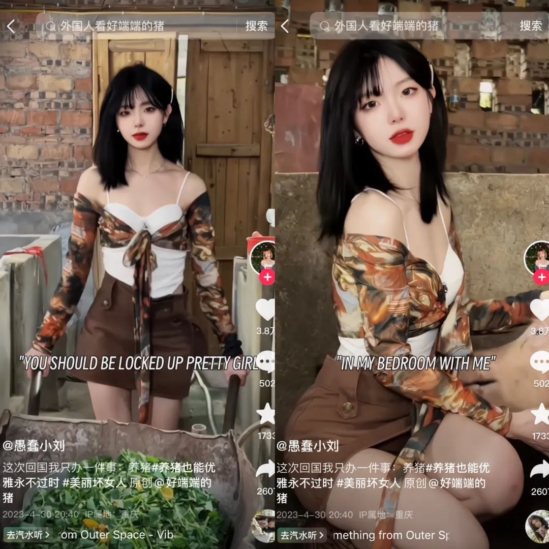 单月涨粉228万,为何大家都爱看美少女优雅养猪?