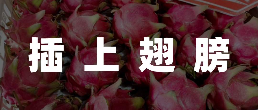 数字时代，农民的&ldquo;赛博致富经&rdquo;是什么？