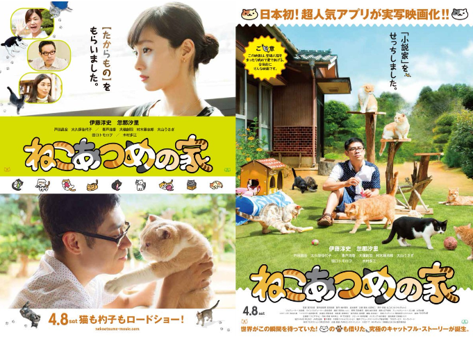 《猫咪后院》出续作啦!还记得这些可爱的哈基米吗?