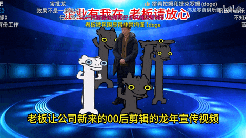 00后官号运营，正在用猫meme勇闯职场