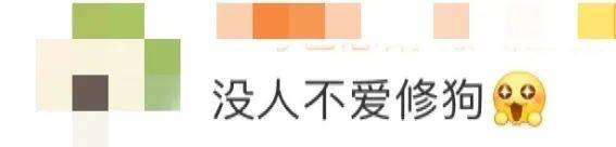 七夕借势案例:网易云音乐写诗,瑞幸修狗,塔斯汀画饼
