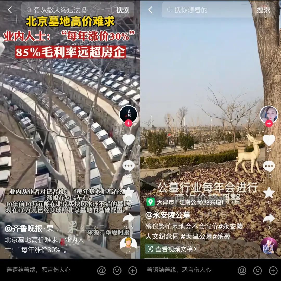 这届90后,在直播间选墓地